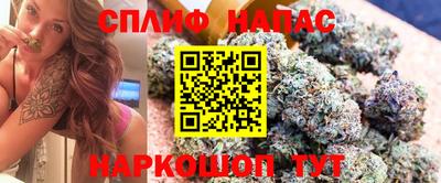 PSILOCYBIN Канаш
