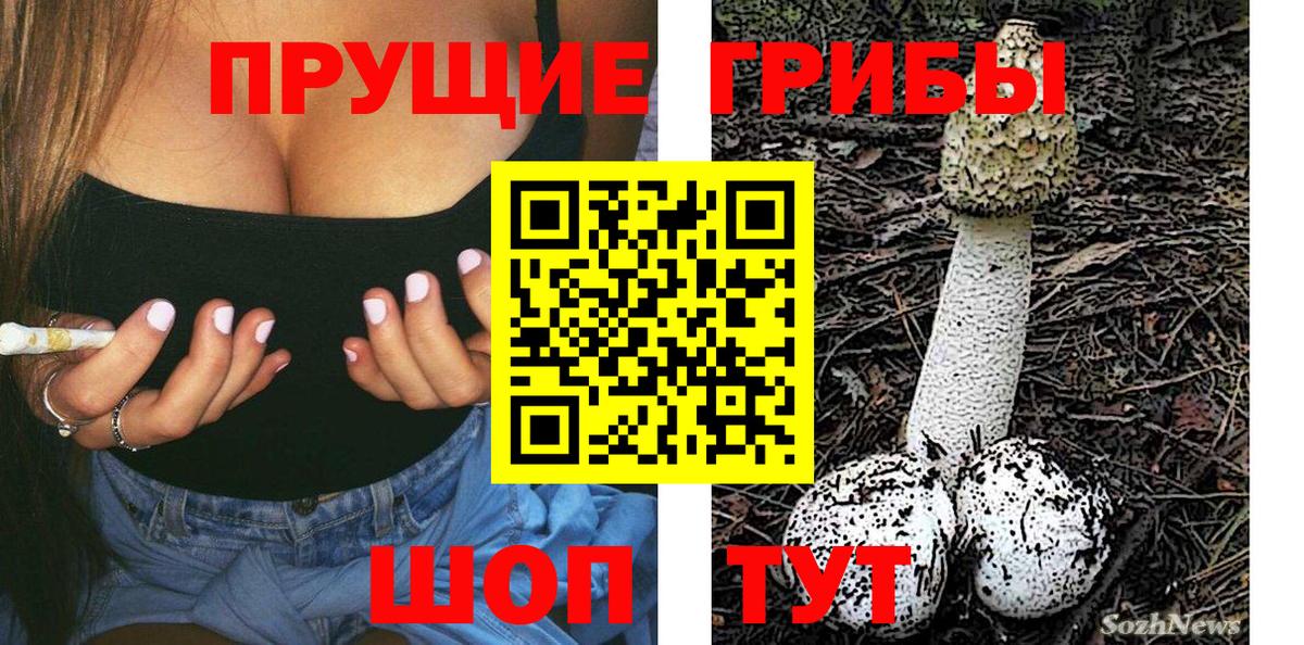 Кингисепп  Галлюциногенные грибы мухоморы  купить  сайты  Вход с VPN 
