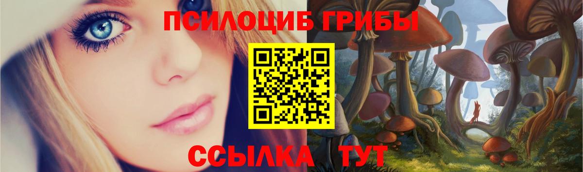 Псилоцибиновые грибы ЛСД Кингисепп
