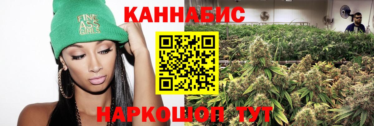 Конопля Bruce Banner  Каннабис ГИДРОПОН  Кингисепп  Вход с VPN 